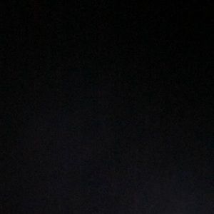 Meet your Posher, Damien